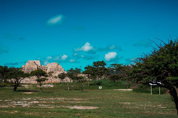 Explore Cañada de la Virgen: Half-Day Archaeological Tour from San Miguel de Allende photo 3