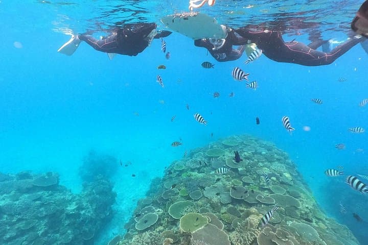 Okinawa Boat Snorkeling: Two-Stop Reef Tour at Minna, Sesoko & Motobu photo 2