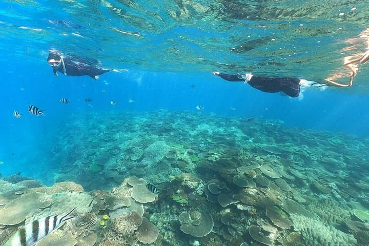Okinawa Boat Snorkeling: Two-Stop Reef Tour at Minna, Sesoko & Motobu photo 4