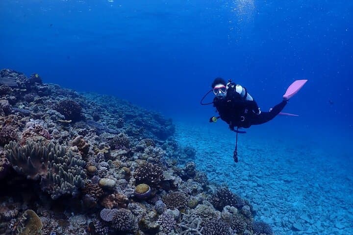 Okinawa Boat Fun Diving at Minna, Sesoko & Motobu — 2 Dives with Pro Instructors