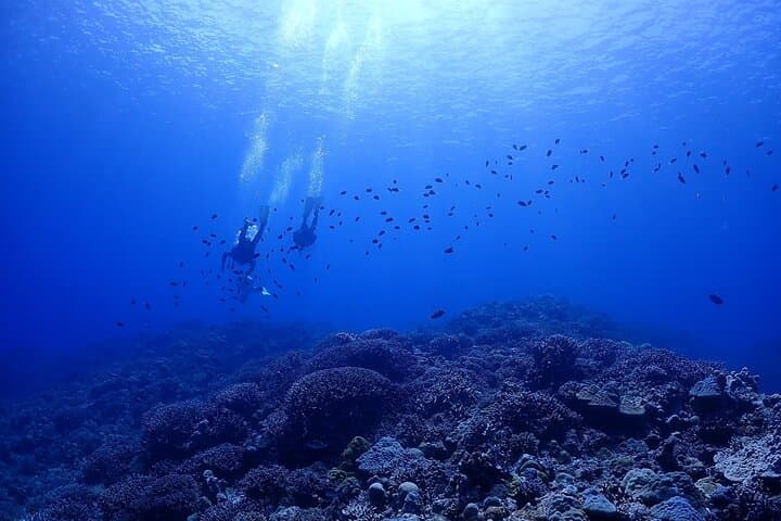 Okinawa Boat Fun Diving at Minna, Sesoko & Motobu — 2 Dives with Pro Instructors photo 2