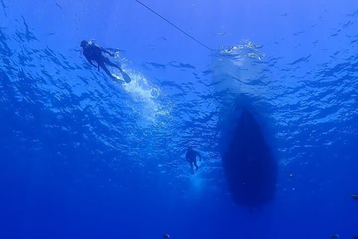 Okinawa Boat Fun Diving at Minna, Sesoko & Motobu — 2 Dives with Pro Instructors photo 3
