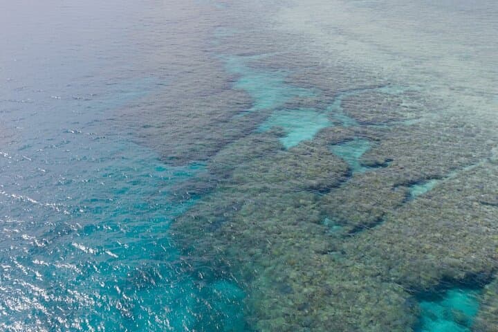 Okinawa Boat Fun Diving at Minna, Sesoko & Motobu — 2 Dives with Pro Instructors photo 6