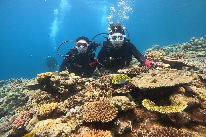 Okinawa 1-Dive SCUBA at Minna, Sesoko or Motobu — Beginner-Friendly Afternoon Dive photo 2