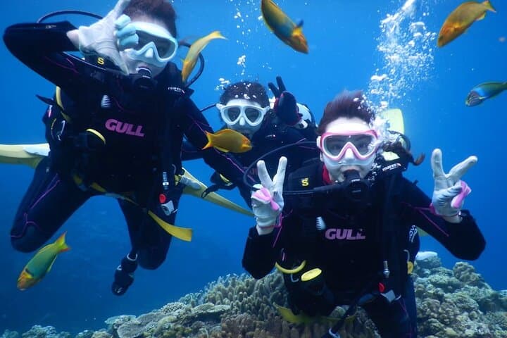Okinawa Discover SCUBA: Two Guided Dives at Minna, Sesoko & Motobu
