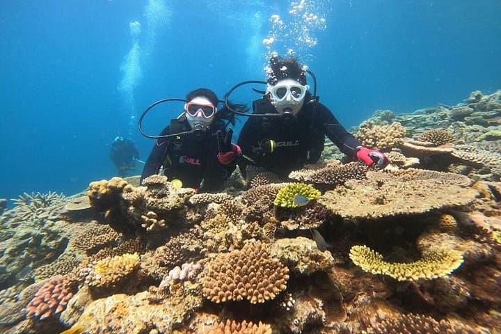 Okinawa Discover SCUBA: Two Guided Dives at Minna, Sesoko & Motobu photo 2