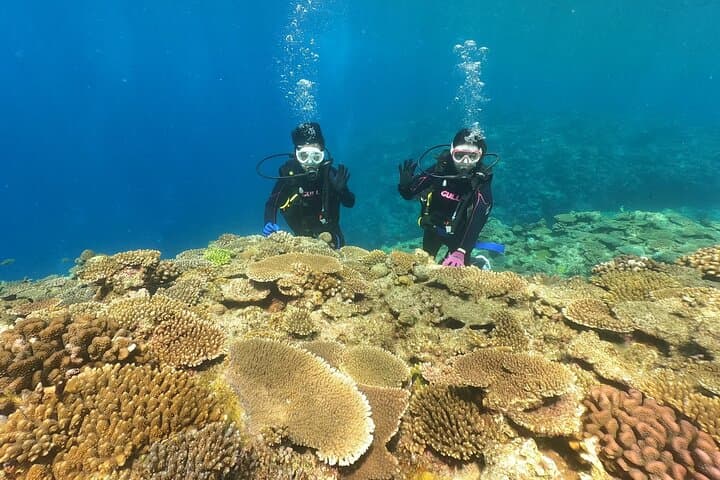 Okinawa Discover SCUBA: Two Guided Dives at Minna, Sesoko & Motobu photo 3