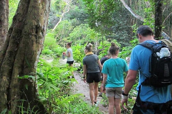 Mae Taeng Overnight Highlands Trek from Chiang Mai: 2-Day Mountain Home-stay Adventure photo 1