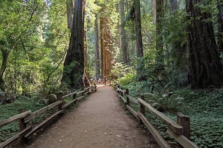 Alcatraz & Muir Woods Day Tour with Sausalito — Golden Gate Scenic Combo photo 3