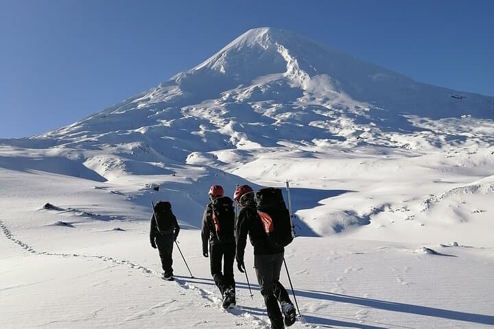 Summit Llaima Volcano from Pucón: Guided High-Altitude Ascent in Conguillío