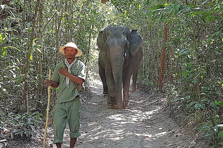 Vintage Jeep to Kulen Elephant Forest — Walk with Elephants near Siem Reap photo 1