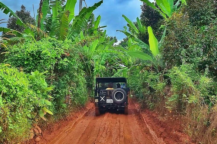Vintage Jeep to Kulen Elephant Forest — Walk with Elephants near Siem Reap photo 2