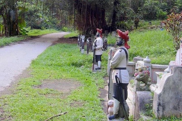 Bukit Brown Cemetery Nature Walk: Exploring Singapore's Pioneer Graves and Urban Wild photo 3