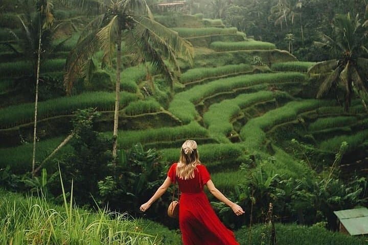Ubud One-Day Highlights: Swing, Monkey Forest, Rice Terraces & Waterfall Tour photo 2