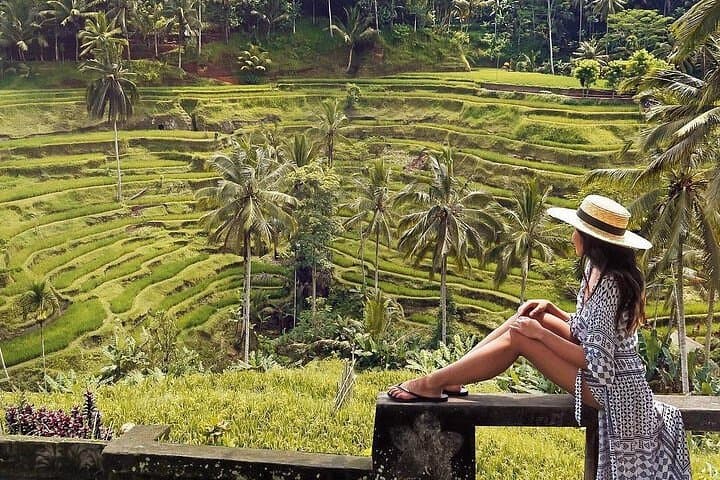 Ubud One-Day Highlights: Swing, Monkey Forest, Rice Terraces & Waterfall Tour photo 4