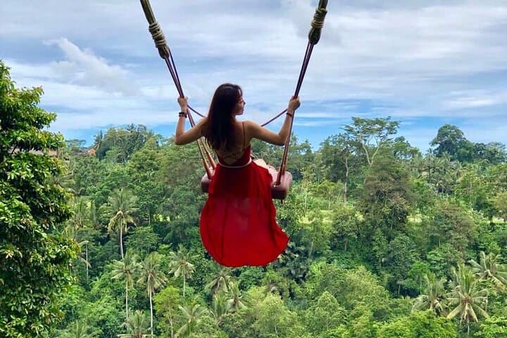 Ubud One-Day Highlights: Swing, Monkey Forest, Rice Terraces & Waterfall Tour