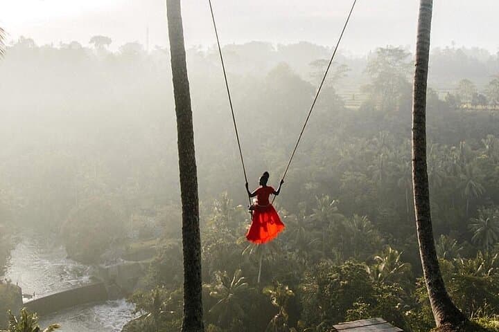 Full-Day Ubud Private Tour: Tegallalang Rice Terraces, Monkey Forest & Jungle Waterfall photo 4