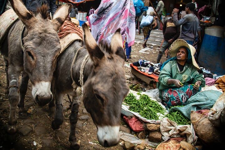 Addis Ababa Full-Day City Tour: Museums, Markets & Mount Entoto photo 2