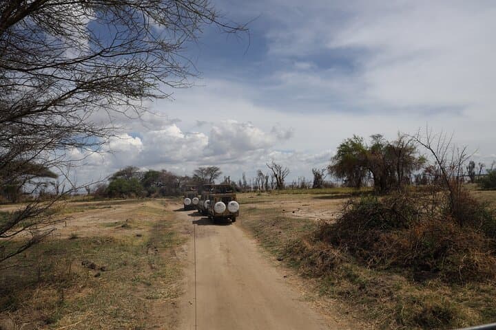 7-Day Lake Manyara Safari from Arusha — Private 4x4 Wildlife Adventure photo 2