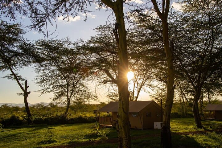 3-Day Flamingo Safari: Tarangire & Lake Natron from Arusha photo 5