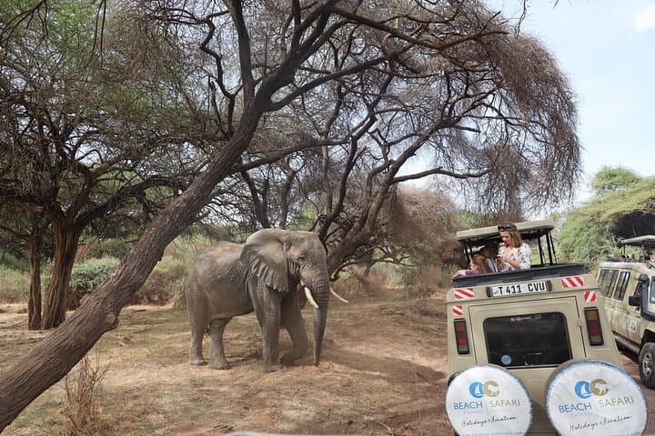 7-Day Lake Manyara Safari from Arusha — Private 4x4 Wildlife Adventure photo 3