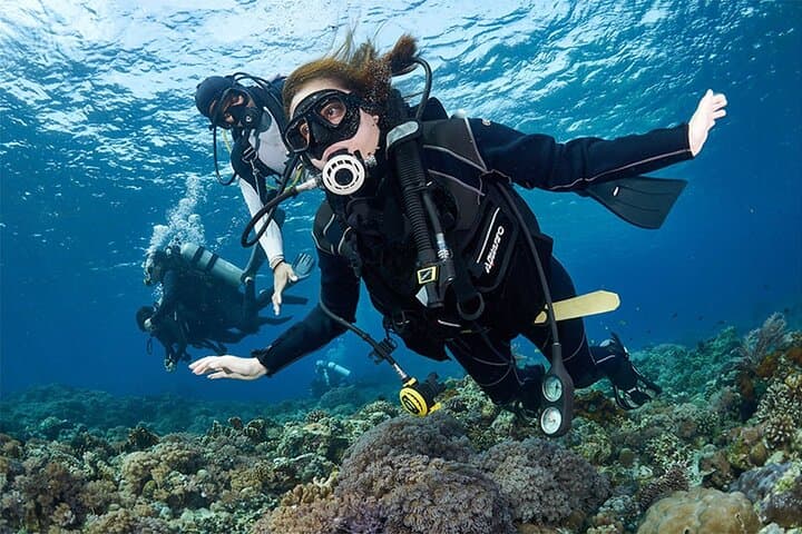 Beginner Discovery Scuba Diving in Anilao — Day Trip from Manila