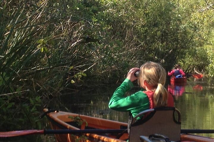 Everglades Kayak Safari: 2-Hour Mangrove Tunnel Adventure from Naples photo 1