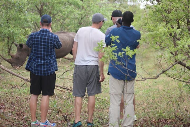 Game Drive and White Rhino Walking Safari in Livingstone — Mosi-oa-Tunya Up Close photo 3