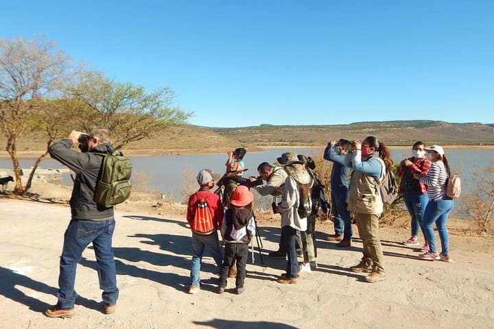 Aswan Felucca Bird-Watching Tour — Nile Islands Wildlife Cruise photo 4