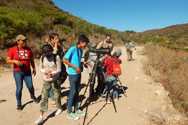 Aswan Felucca Bird-Watching Tour — Nile Islands Wildlife Cruise photo 3