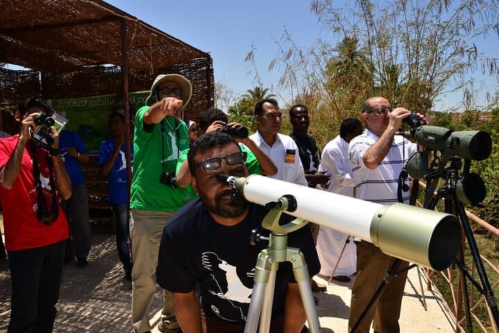 Aswan Felucca Bird-Watching Tour — Nile Islands Wildlife Cruise photo 1