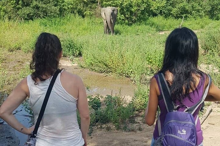 3-Day Mole National Park Elephant Safari from Tamale — Walking Safaris, Canoe & Village Visits