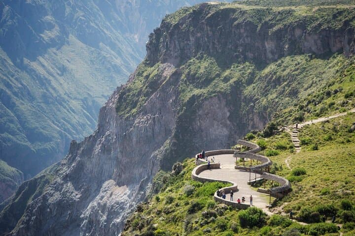 Condor Flight at Cruz del Condor: Morning Views of Colca Canyon