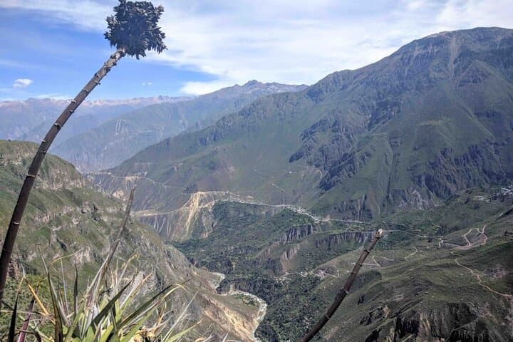 Condor Flight at Cruz del Condor: Morning Views of Colca Canyon photo 2