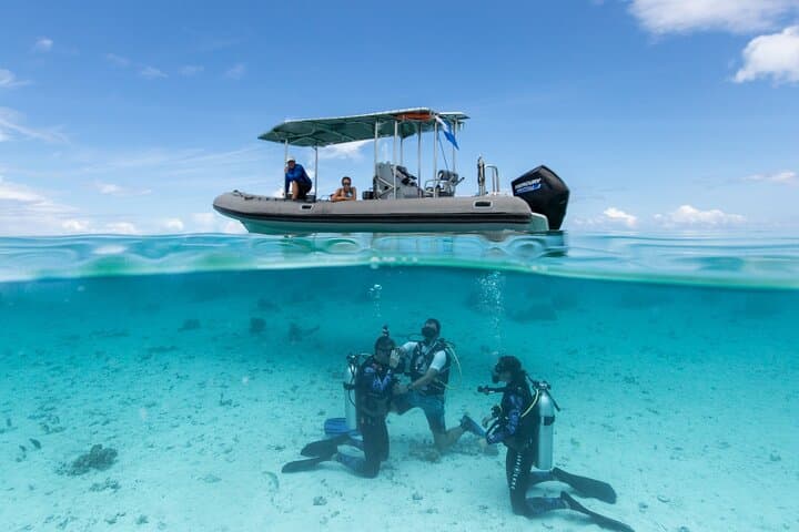 Romantic Private Dive in Bora Bora Lagoon — Black Pearl Gift & Pro Video photo 2