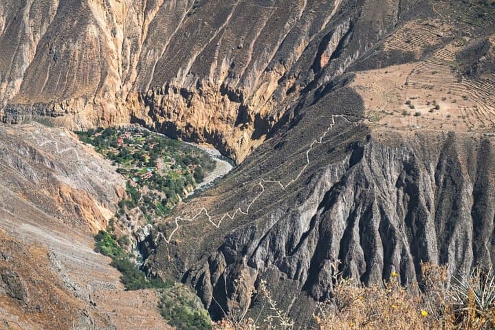 Condor Flight at Cruz del Condor: Morning Views of Colca Canyon photo 3