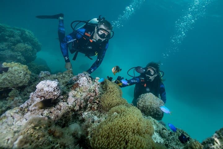 Introductory Scuba Diving in Bora Bora Lagoon — Shallow-Water Lesson with Certified Instructors photo 4
