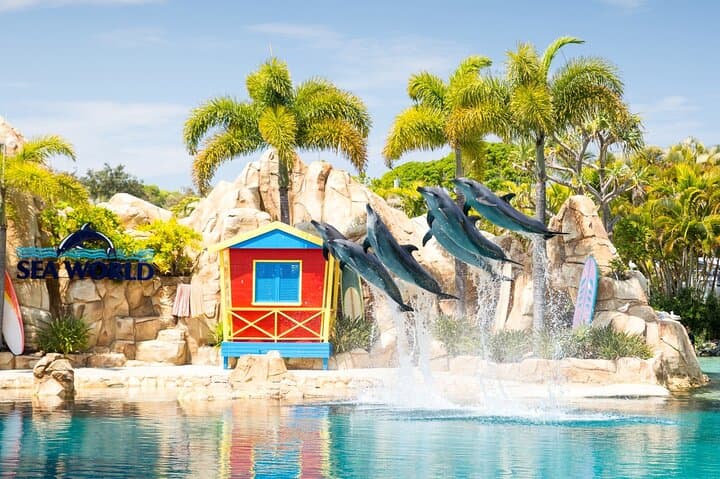 Gold Coast Hop-On Hop-Off Sightseeing Cruise: 1-Day Broadwater Explorer photo 4