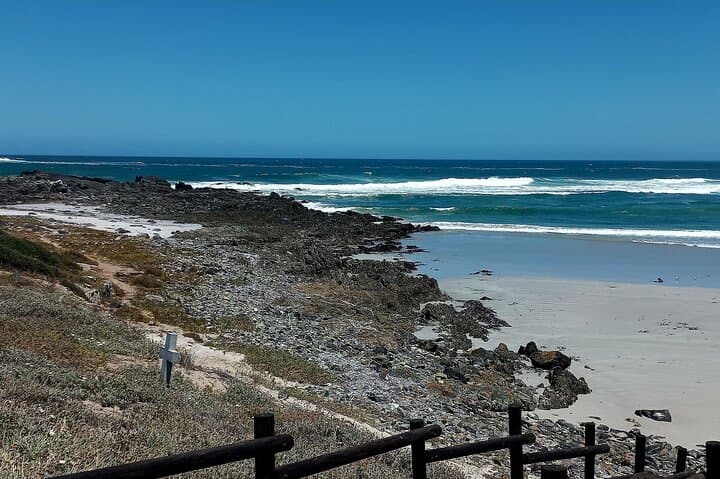 Cape Agulhas Full-Day Private Tour from Cape Town — Where the Indian and Atlantic Meet photo 3