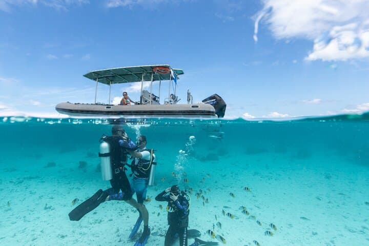 Introductory Scuba Diving in Bora Bora Lagoon — Shallow-Water Lesson with Certified Instructors photo 3