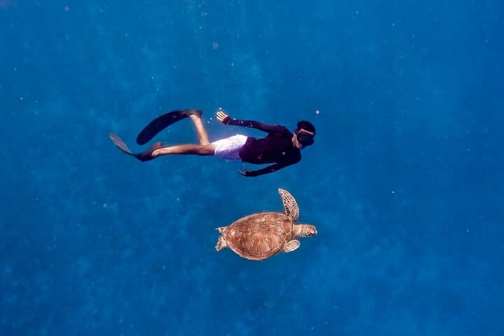 Snorkel with Turtles and Underwater Statues in the Gili Islands