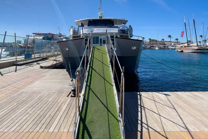 Fast Ferry to Formentera from Figueretas: A Day on Turquoise Waters photo 2