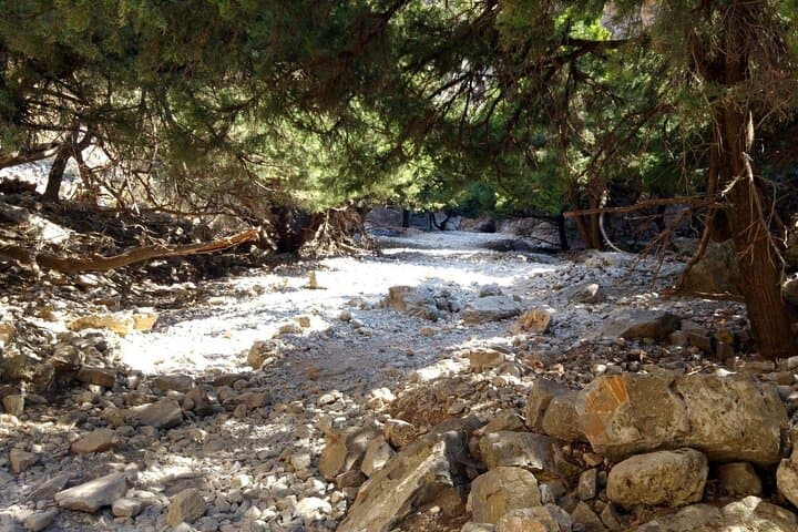 Hiking Imbros Gorge: Easy Day-Trip from Chania to Crete’s Lush Canyon photo 5