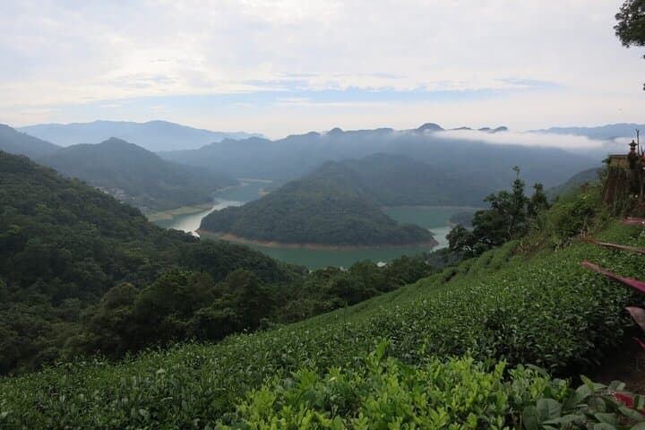 Shiding Day Tour: Tamsui‑Kavalan Trails, Tea Plantations & Noodle‑Making photo 3