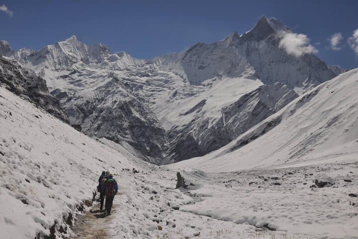 7-Day Annapurna Base Camp Trek — Private Fast-Track Trek from Pokhara photo 4