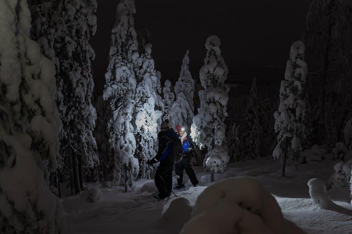 Night Ski Trekking near Rovaniemi — Private Arctic Aurora Adventure photo 3
