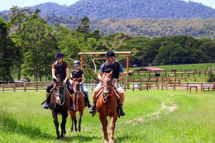 Kuranda Half-Day Horse Ride & Petting Zoo — Rainforest Trails from Cairns photo 3