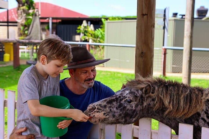 Kuranda Half-Day Horse Ride & Petting Zoo — Rainforest Trails from Cairns photo 6