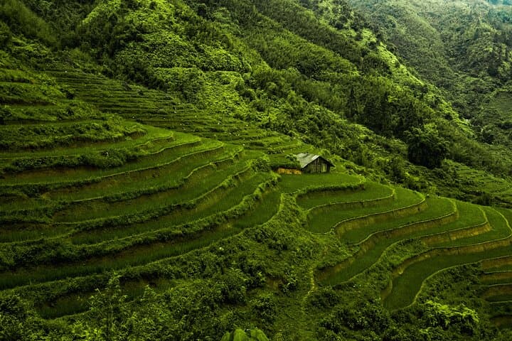 Best of Thailand and Vietnam: 6-Day Cultural and Coastal Adventure photo 5
