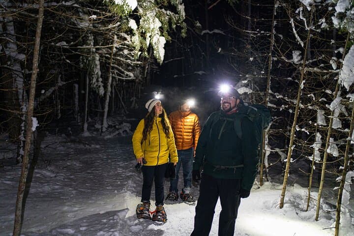 Nocturnal Snowshoeing in Gatineau Park: Wood‑Stove Dinner & Stargazing (From Ottawa & Gatineau)